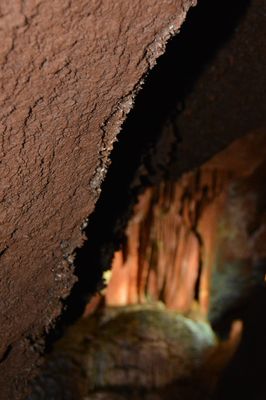 The Lost Sea Adventure by null