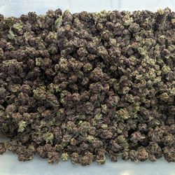 Uncle Bucks Dispensary & Glass Shop
