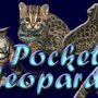 Photo of Pocket Leopards