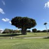 Biltmore Golf Course gift card