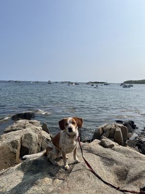 Cape Pier Chowder House by null