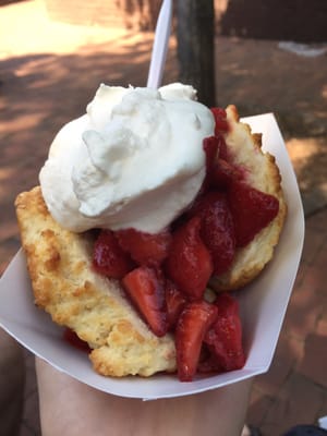 Davidson Farmer's Market by null