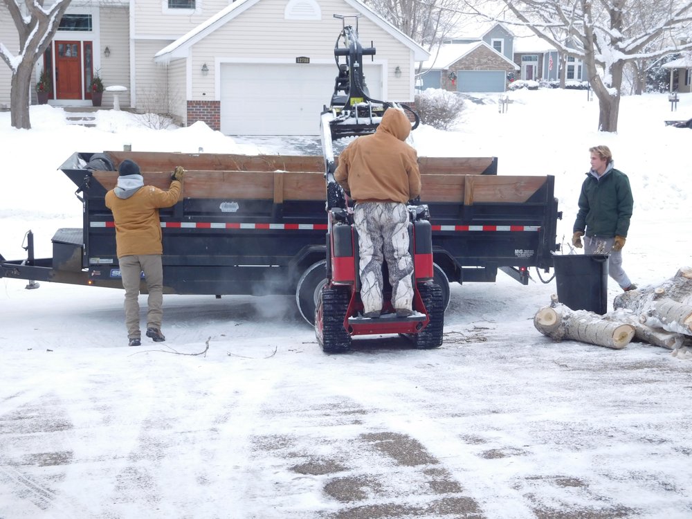 LAKESHORE TREE CARE Updated September 2024 21 Photos 7851 Park Dr