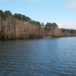 Paradise Public Fishing Area