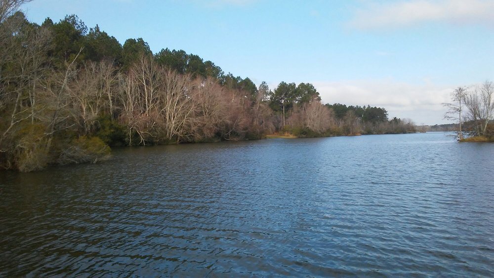 PARADISE PUBLIC FISHING AREA Updated October 2024 536 Paradise Dr