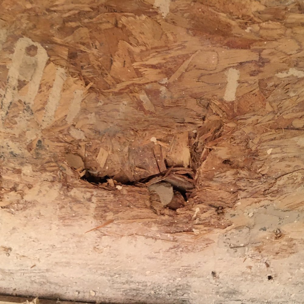 Clear Coast Restoration - Jackhammer broke framing - Damage Restoration Near Me - Rancho Cucamonga, California Clear Coast Restoration - Jackhammer broke framing - Damage Restoration Near Me - Rancho Cucamonga, California
