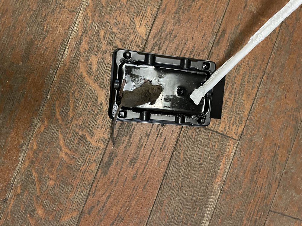 Nova Property Management - property management company in Anchorage, AK