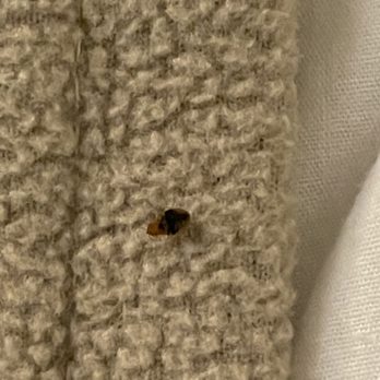 Studio 6 Motel - BED BUGSSSSS!!!!!! - Hotels Near Me - Oklahoma City, Oklahoma