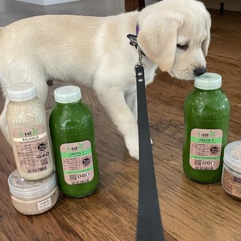 Kreation Pets - Green 3 Cold Pressed Juice Balance Cold Pressed Juice Cacao Almond Yogis O-Mega Rich Cacao with Almond Chia Pudding - Juice Bars & Smoothies Near Me - Manhattan Beach, California
