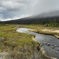 Denali Photo Guides