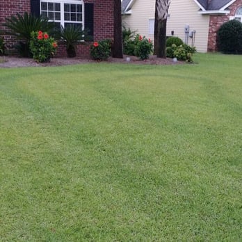Weed Man - Pest Control Near Me - Myrtle Beach, South Carolina