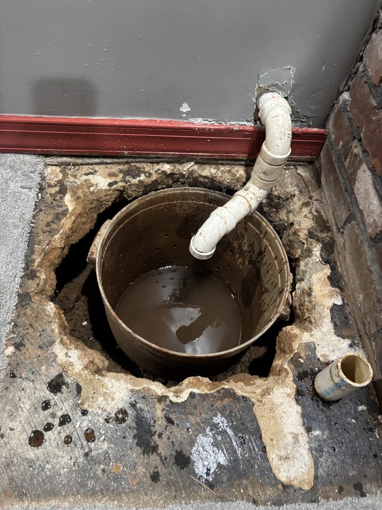 Slide of Rodri’s Rooter