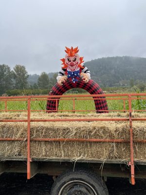 Brosi's Sugartree Farms by null