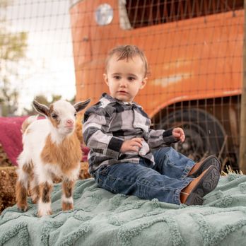 CW Ranch Photography - Baby Goat Sessions - Session Photography Near Me CW Ranch Photography - Baby Goat Sessions - Session Photography Near Me