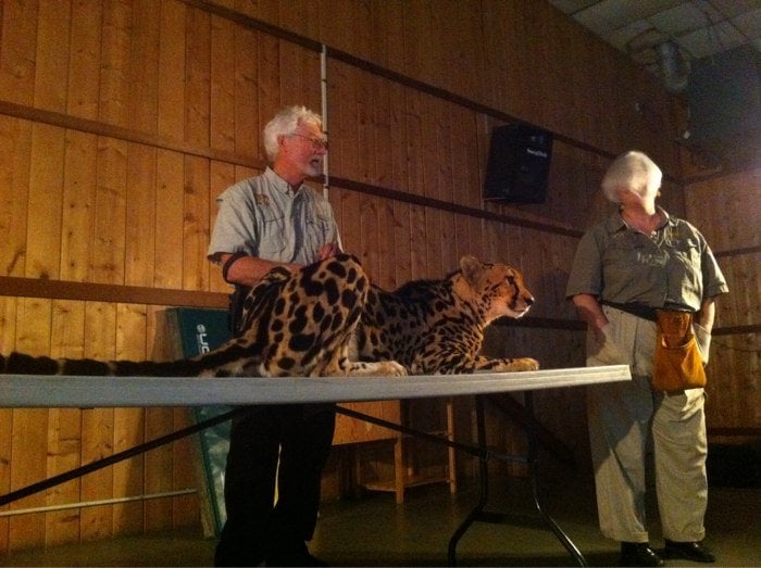 Sebastopol Community Center - childcare center in Sebastopol, CA