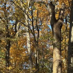 Inwood Hill Park