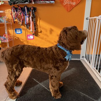 Besties DogSpa - Pet Groomers Near Me - San Diego, California Besties DogSpa - Pet Groomers Near Me - San Diego, California