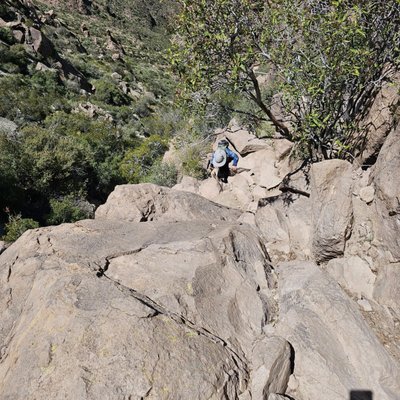 Lost Dutchman State Park by null
