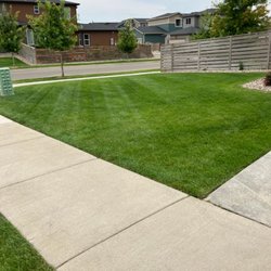 Next Step Lawn