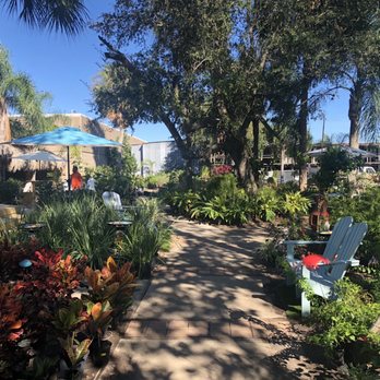 Tom's Thumb by Cornelius Nursery - Outdoor area - Nurseries & Gardening Near Me - Galveston, Texas Tom's Thumb by Cornelius Nursery - Outdoor area - Nurseries & Gardening Near Me - Galveston, Texas