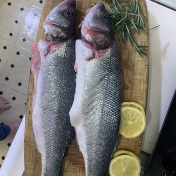 Branzino Fish Market - Dinner! - Seafood Markets Near Me - New York, New York Branzino Fish Market - Dinner! - Seafood Markets Near Me - New York, New York