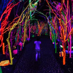 House of Eternal Return - Meow Wolf - Small toddler roaming safely and freely.