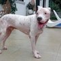 Photo of Aloro Pet Hospital