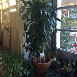 Sledd Nursery