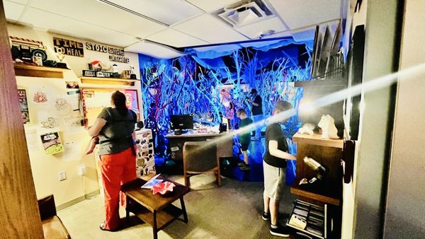 Meow Wolf Houston's Radio Tave by null