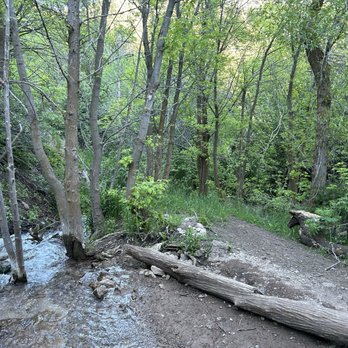 Burch Hollow Trail - Hiking Near Me - Salt Lake City, Utah Burch Hollow Trail - Hiking Near Me - Salt Lake City, Utah