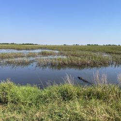 Brazoria National Wildlife Refuge