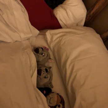 Great Wolf Lodge - Everyone asleep after a full day of fun. - Resorts Near Me - Centralia, Washington Great Wolf Lodge - Everyone asleep after a full day of fun. - Resorts Near Me - Centralia, Washington