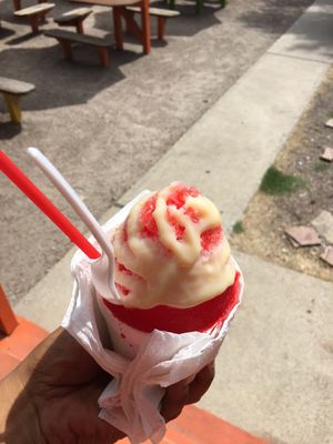 Tropical Express by null