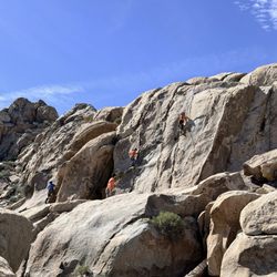 Joshua Tree's Uprising Adventure Guides, Inc - Scaling the rocks at Joshua Tree