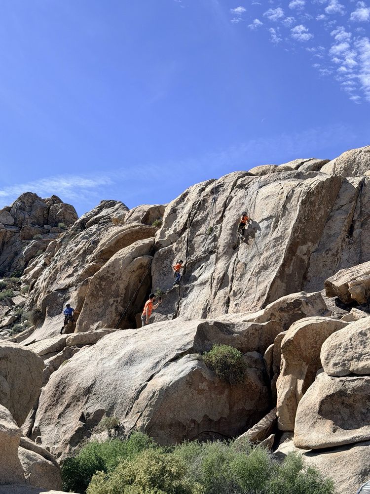 Joshua Tree's Uprising Adventure Guides, Inc Logo