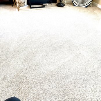 Steam Action - My carpet looks fresh & clean - Carpet Cleaning Near Me - Sacramento, California Steam Action - My carpet looks fresh & clean - Carpet Cleaning Near Me - Sacramento, California