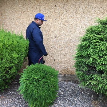 Standard Pest Control - Pest Control Near Me - Middlesex, New Jersey Standard Pest Control - Pest Control Near Me - Middlesex, New Jersey