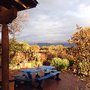 Photo of Milagro Vineyards