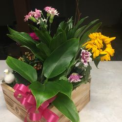 Sanger M and E Flowers and Gifts