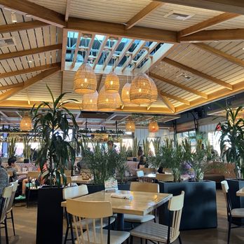 Pacific Catch - Interior - Seafood Near Me - Tustin, California