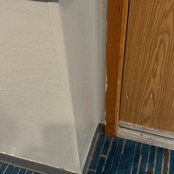 Wingate by Wyndham Mount Vernon - Carpet stain in hallway. Paint slopped on door frame. - Hotels Near Me - Mount Vernon, Washington Wingate by Wyndham Mount Vernon - Carpet stain in hallway. Paint slopped on door frame. - Hotels Near Me - Mount Vernon, Washington