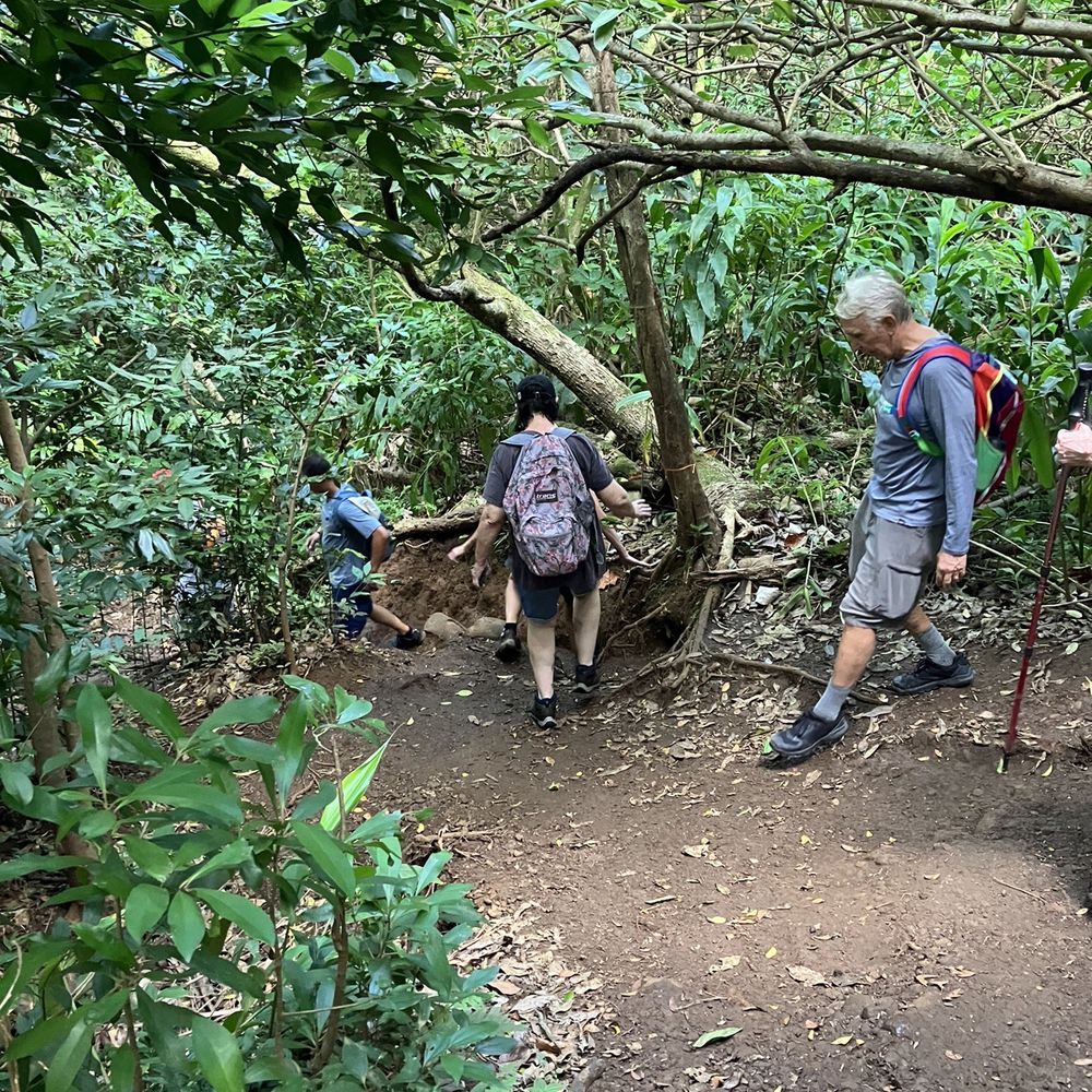 Lulumahu Falls - Hiking Near Me - Honolulu, Hawaii Lulumahu Falls - Hiking Near Me - Honolulu, Hawaii