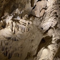 Mitchell Caverns Natural Preserve