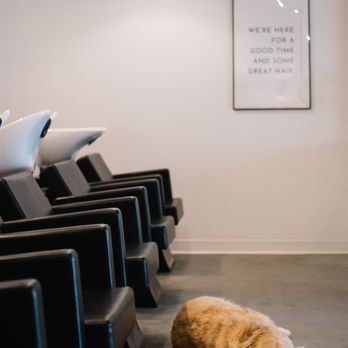 Below Hair Studio - Hair Salons Near Me - Edmonton, Alberta Below Hair Studio - Hair Salons Near Me - Edmonton, Alberta