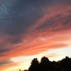 Exeter Town Hall - Sometimes we've got amazing sunsets you've just got to look for them