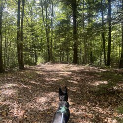 Papermill Trail