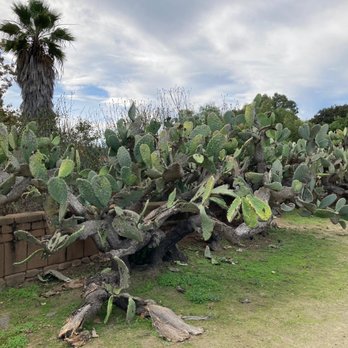 Mission San Luis Rey - Museums Near Me - Oceanside, California