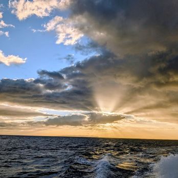 Kauai Sea Tours - Boating Near Me - Eleele, Hawaii