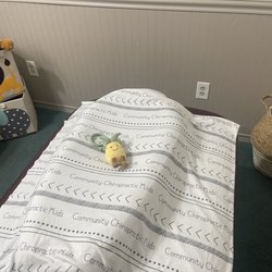 Community Chiropractic Group - Chiropractic treatments for infants & children of all ages