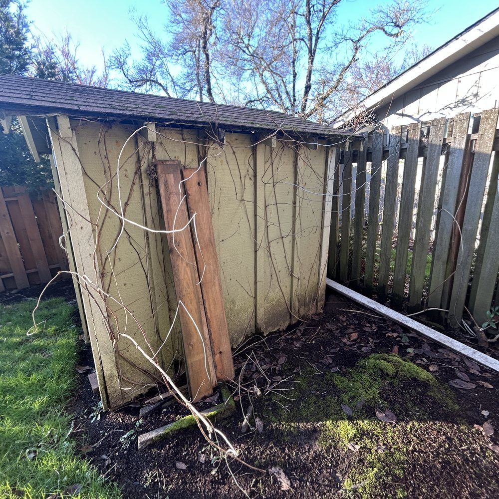 Wild Roots Hauling - Shed (before) - Junk Removal & Hauling Near Me Wild Roots Hauling - Shed (before) - Junk Removal & Hauling Near Me
